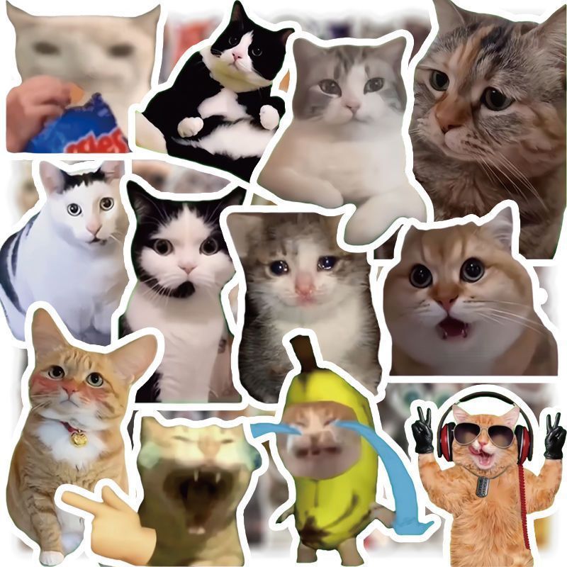 Cat meme stickers cute funny quirky cat Instagram style emoticon material for journals and scrapbooks