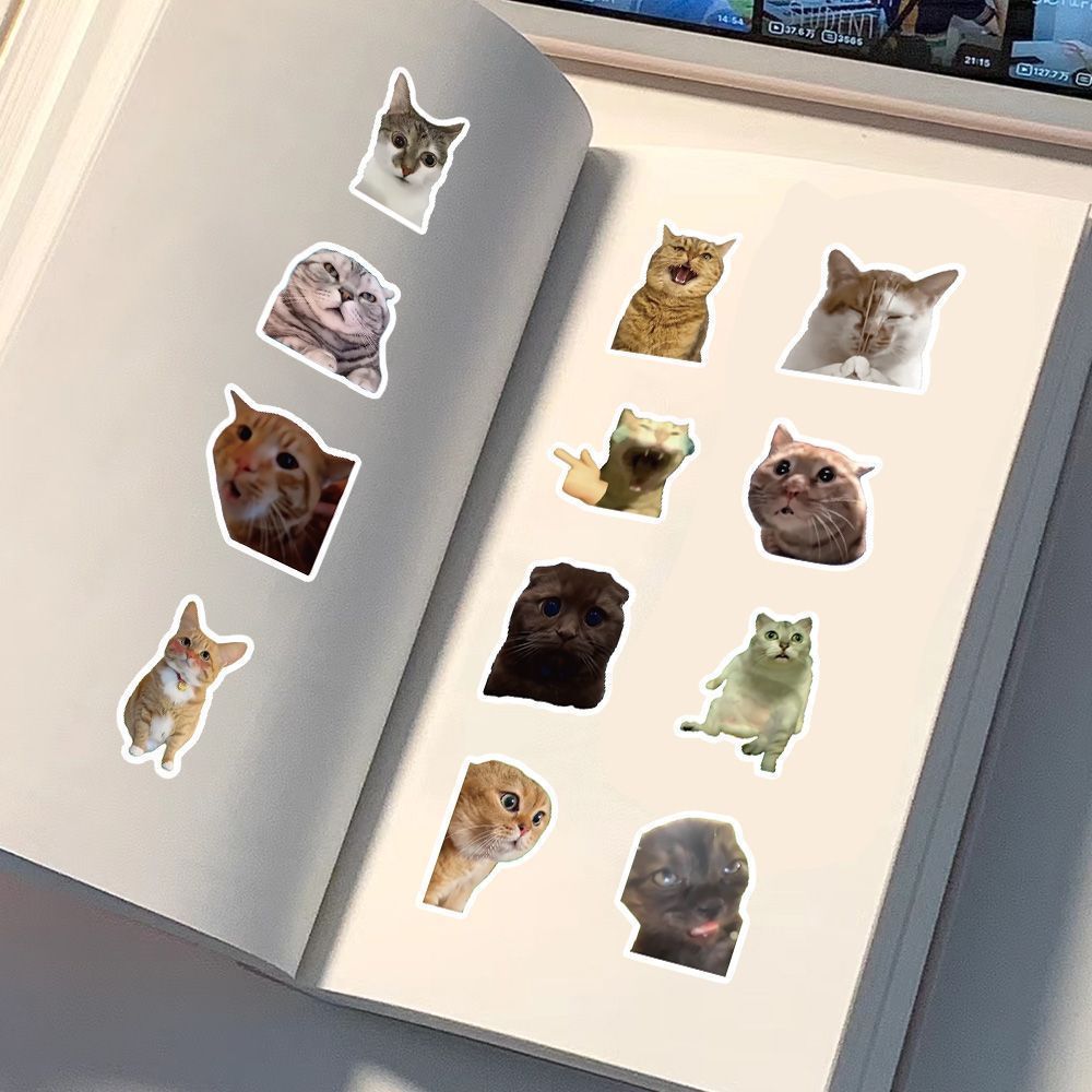 Cat meme stickers cute funny quirky cat Instagram style emoticon material for journals and scrapbooks