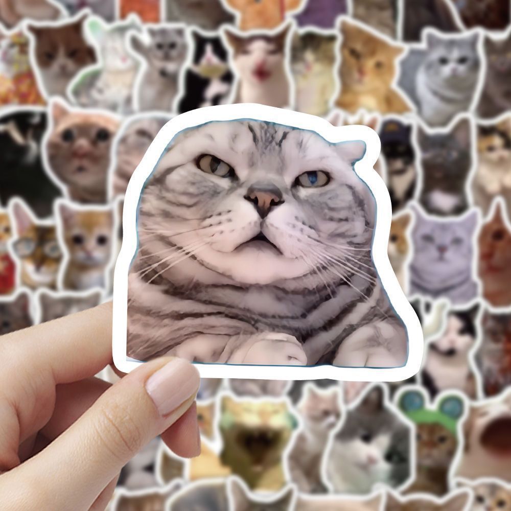 Cat meme stickers cute funny quirky cat Instagram style emoticon material for journals and scrapbooks