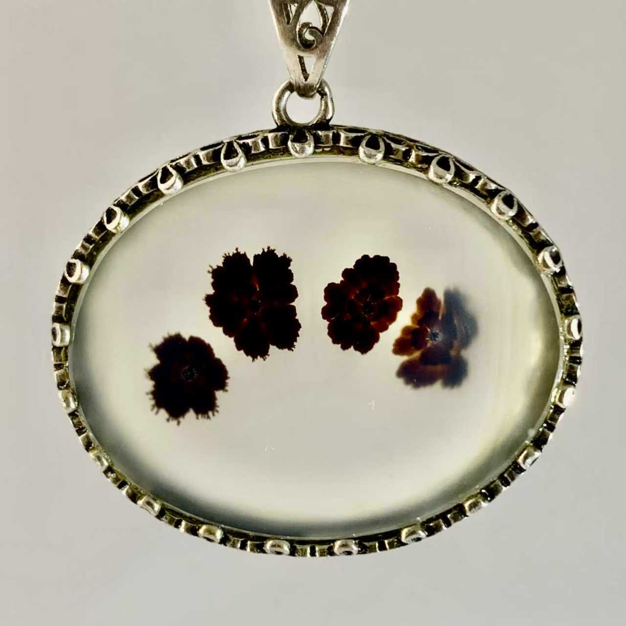 ONLY ONE -  Cat Claws （Congratulations on your wealth）